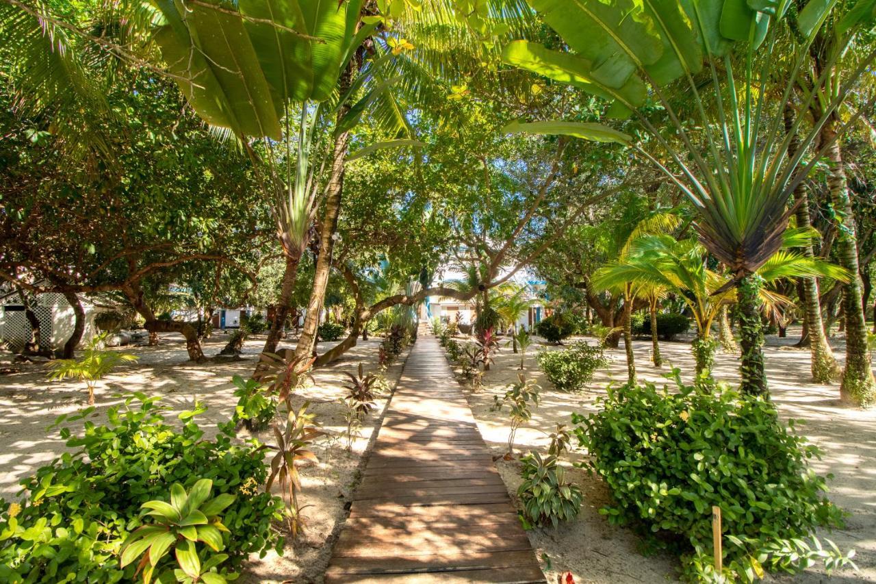 Condo #31 @ Beachside Villas Placencia Bagian luar foto